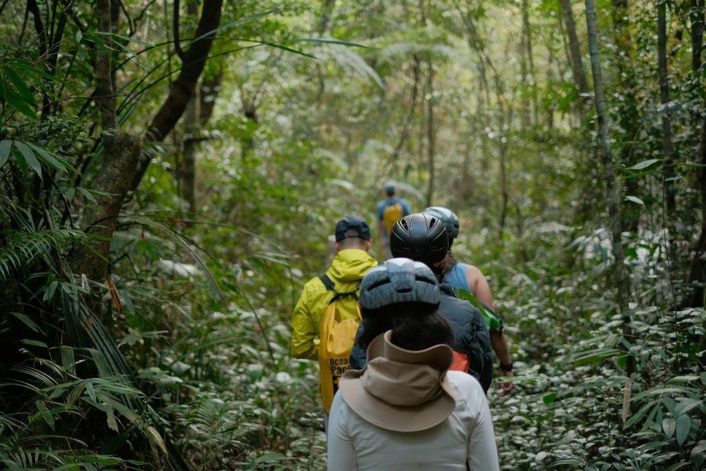 A group of hikers exploring a dense, green forest trail on a daytime adventure.